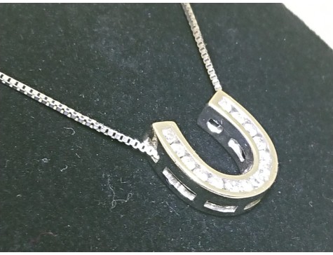 10kt White Gold Diamond Set Horseshoe pendant with white gold box chain