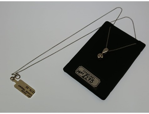 14kt Canadian White Gold Diamond Bezel Set Pendant and Chain